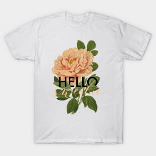 Hello Sweetie T-Shirt